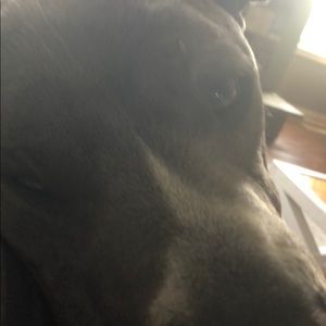 Meet your Posher, Brent